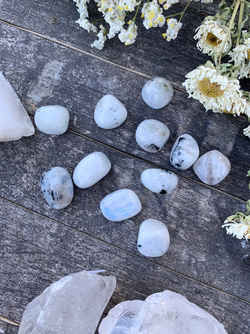 Rainbow Moonstone Tumbles